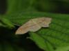 311828 – Photo : Jean-François Maradan – France (25)